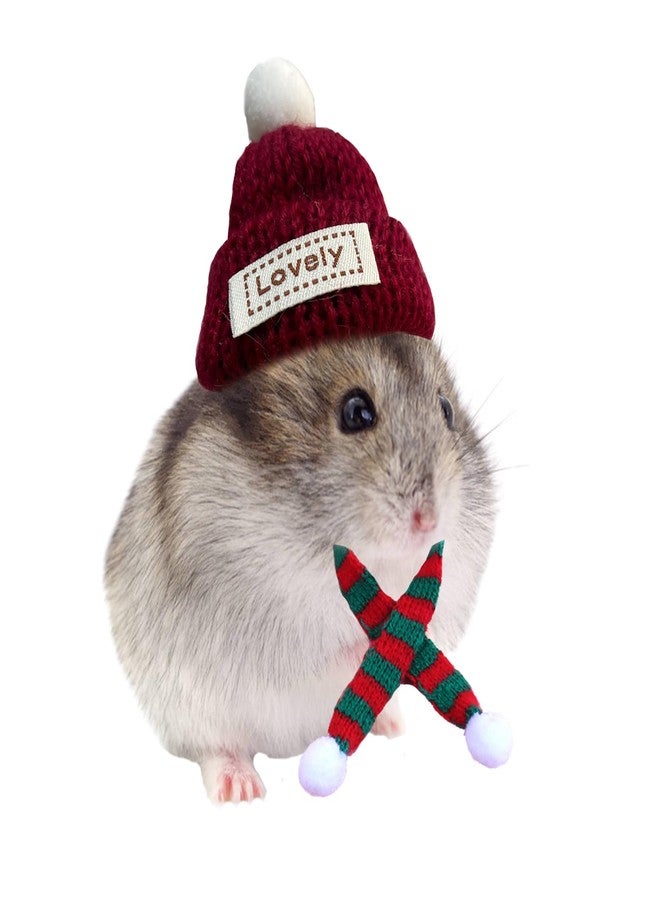 KnocKconK Hamster Costume Set with Shirt, Hat, Shoes, Small Animal Cute Shark Slipper for Real Pets, Cute Mini Rat Holiday Party Clothes, for Fun, Photos. (Guinea Pig Set) - Image 1